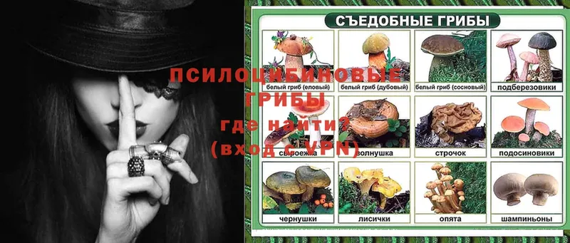 гидра   Змеиногорск  Псилоцибиновые грибы Psilocybine cubensis 